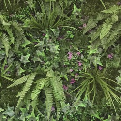 Jungle