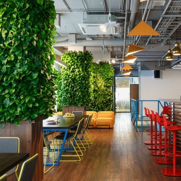 Miniature France Haie